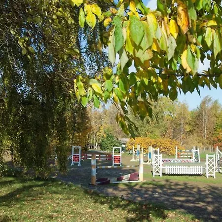 Appartement Ferienwohnung Landruhe *